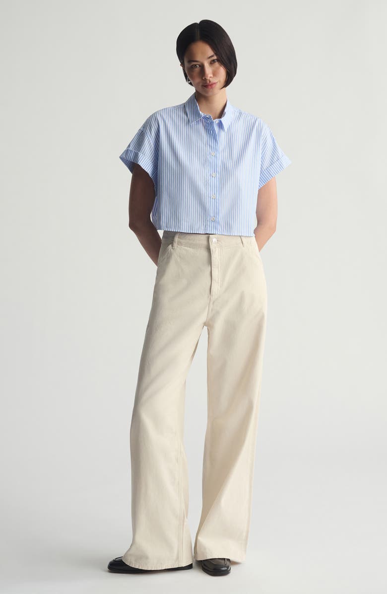 Brooklyn Industries Turtledove Carpenter Pants, Alternate, color,