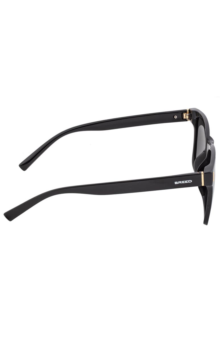BREED Pictor Polarized Sunglasses, Alternate, color, Black/Black