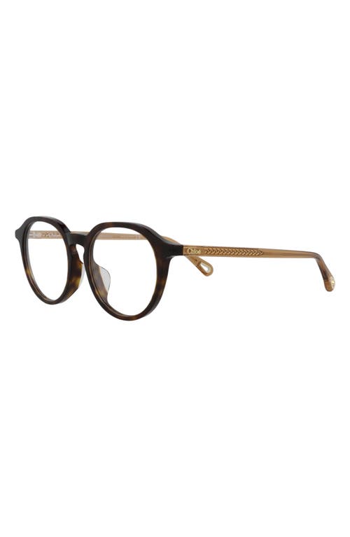 Chloé Core 50mm Round Optical Glasses In Havana Brown Transparent