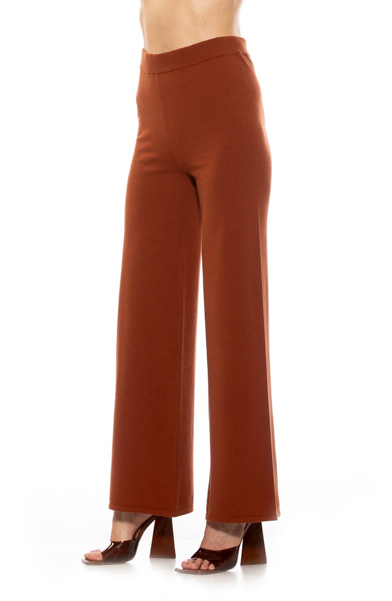 Alexia Admor Theana High Waist Flare Pants, Alternate, color, Brown