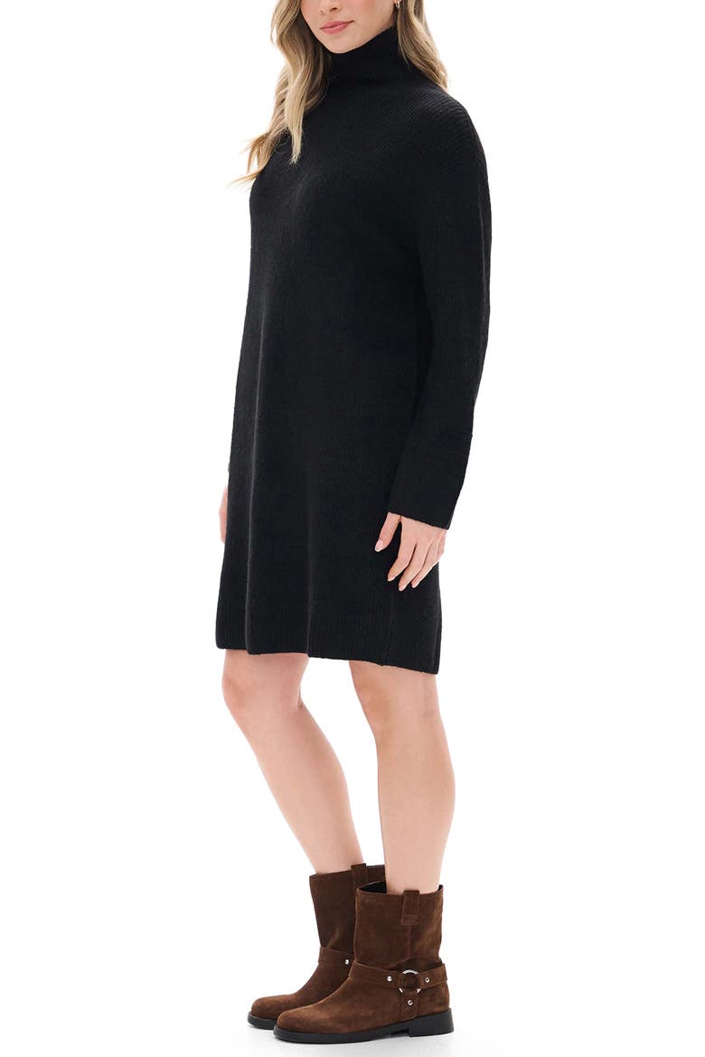 Iris Long Sleeve Turtleneck Sweater Dress, Alternate, color, CLASSIC BLACK
