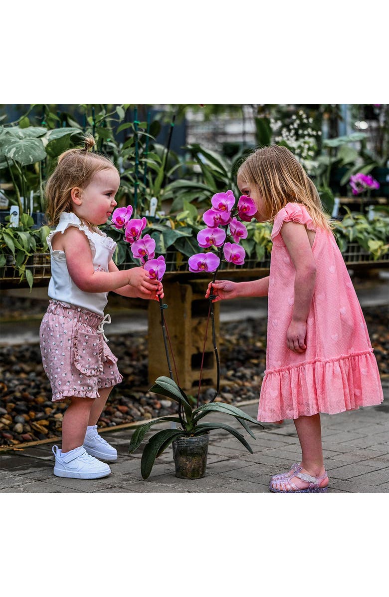 oh baby! Hearts Bobinette Stella Dress, Alternate, color, Blush