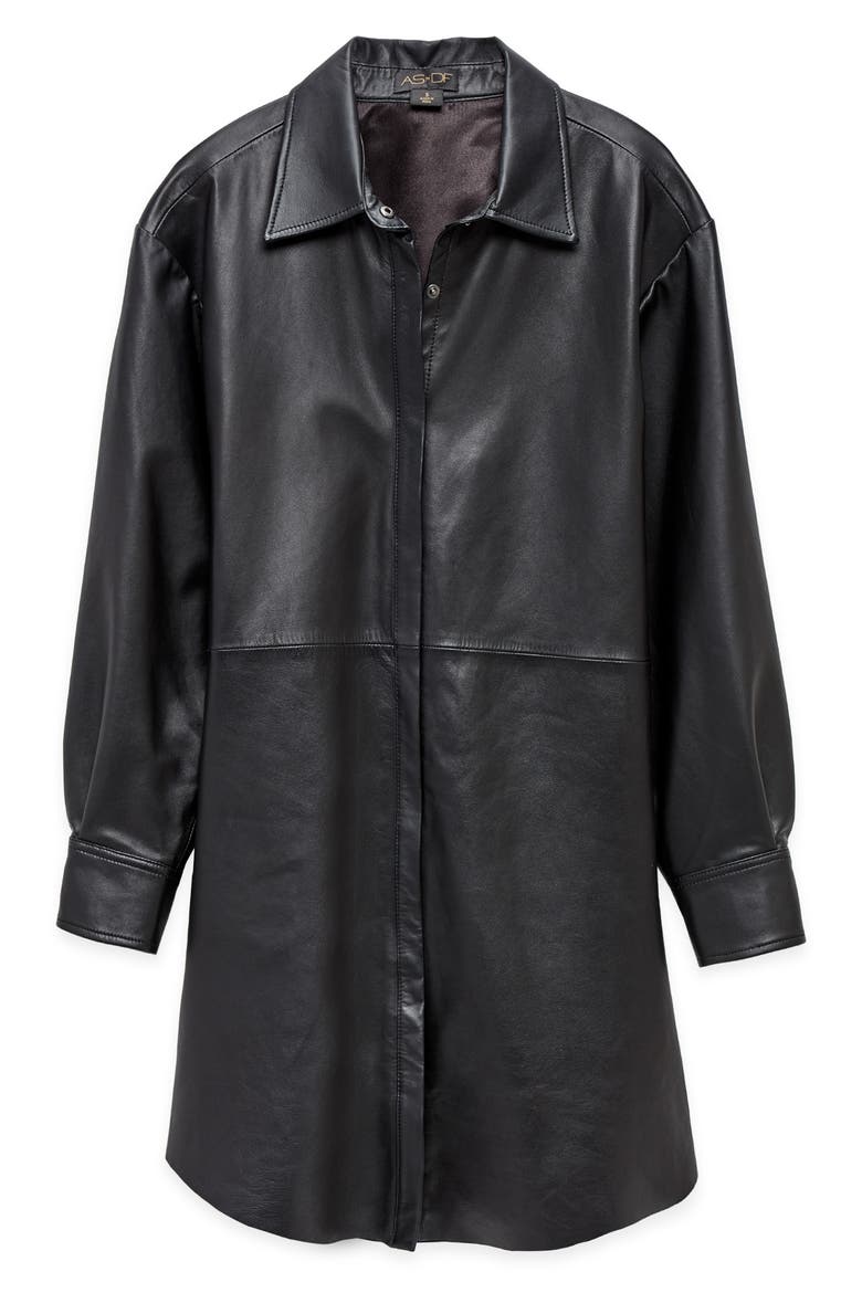 Bonsoir Recycled Leather Shirtdress, Alternate, color, BLACK