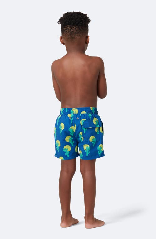 Tom & Teddy Kids' Cactus Print Performance Swim Trunks In Blue Green