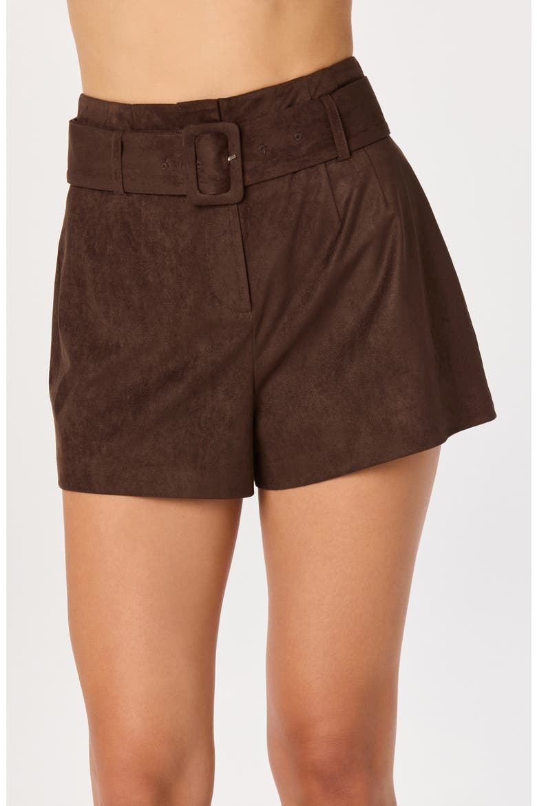 Rain High Waist Belted Shorts, Alternate, color, ESPRESSO
