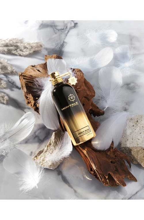 MONTALE PARIS MONTALE PARIS AMBER MUSK EAU DE PARFUM