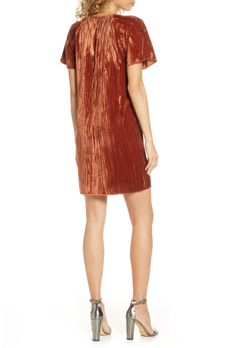 Velvet Shift Dress, Alternate, color, CINNAMON VELVET