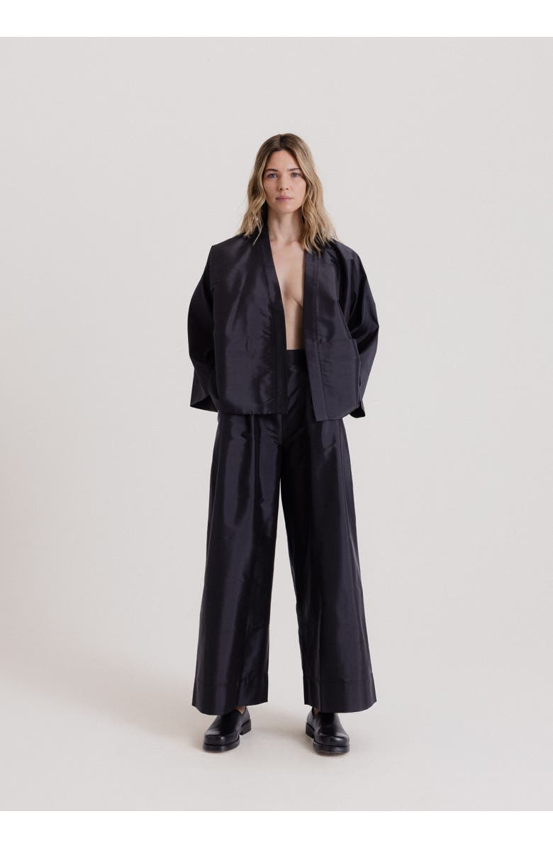 Alas Wide Pleated Pants, Alternate, color, Black