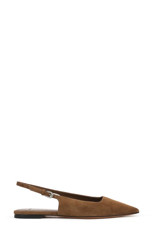 Vince Gracy Pointed Toe Slingback Flat In Brown