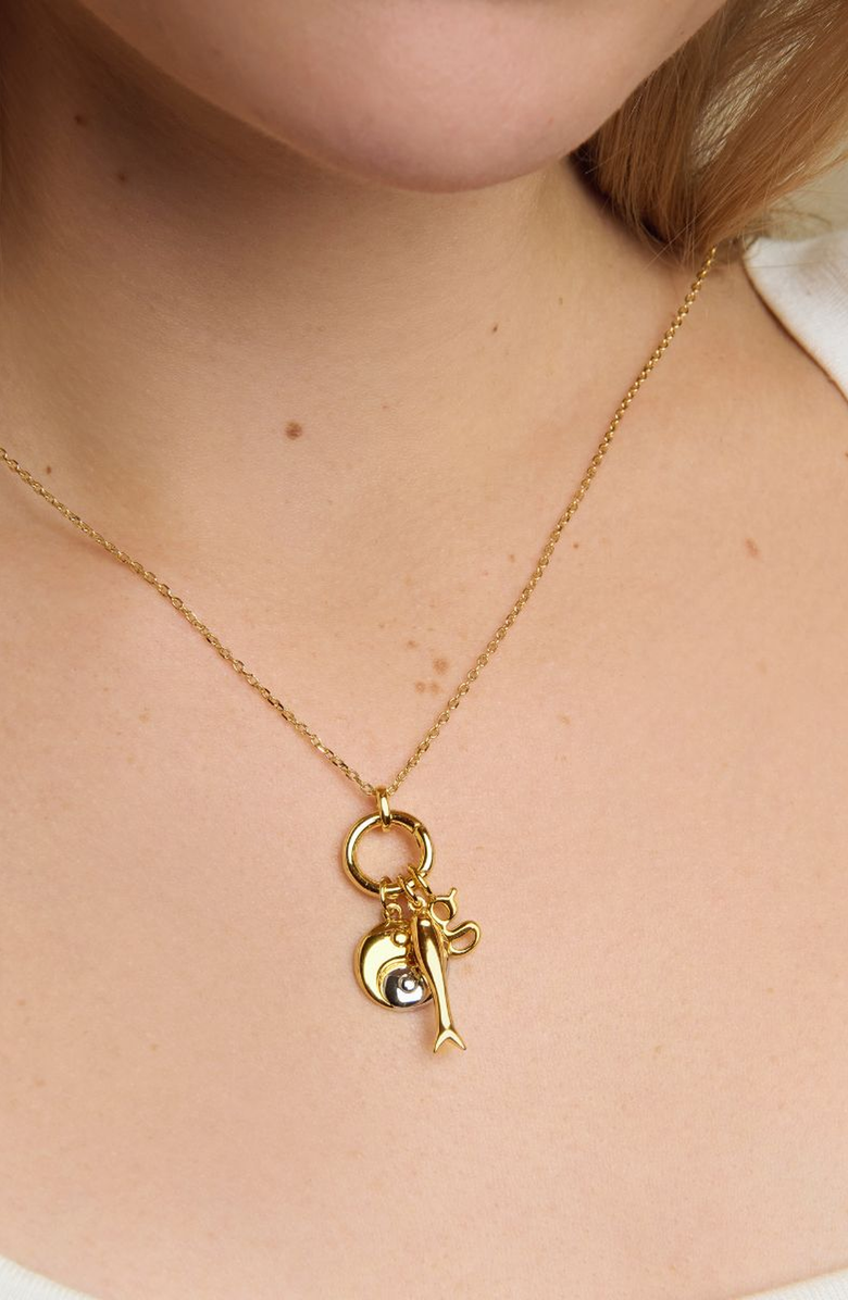 Little Sky Stone Lucky Fish Charm Necklace, Alternate, color,