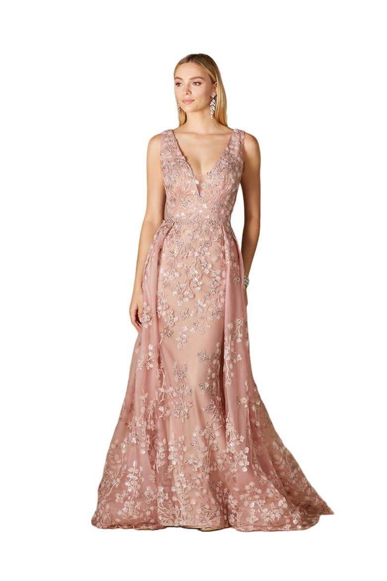 Floral Applique Overskirt Dress, Main, color, Blush