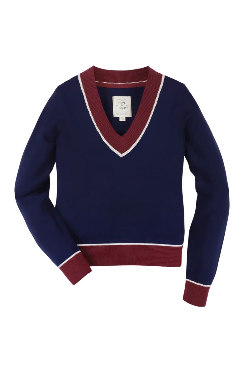 Hope & Henry Women's V-Neck Sweater, Alternate, color, Navy With Berry
