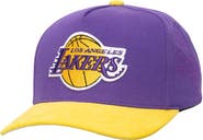 Mitchell & Ness Men's Mitchell & Ness  Purple/Gold Los Angeles Lakers May Flowers Adjustable Hat