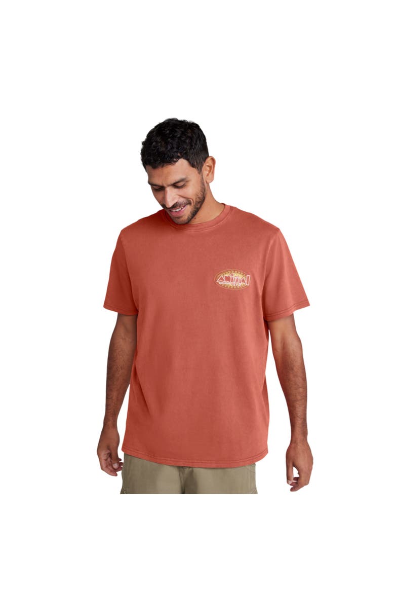 Chase Relaxed Fit T-Shirt, Alternate, color, Burnt Orange