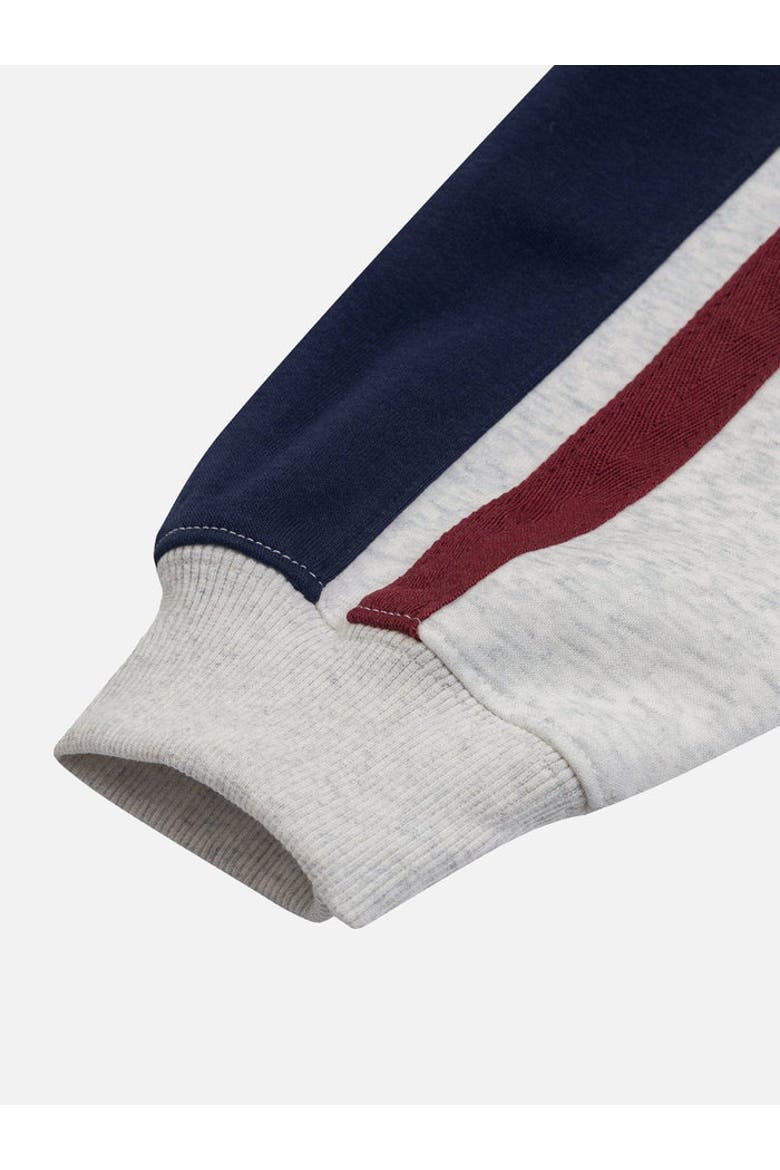 Color Blocking Stripe Hoodie, Alternate, color, Grey