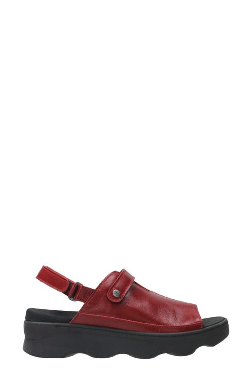 Wolky Laprida Slide Sandal In Oxblood