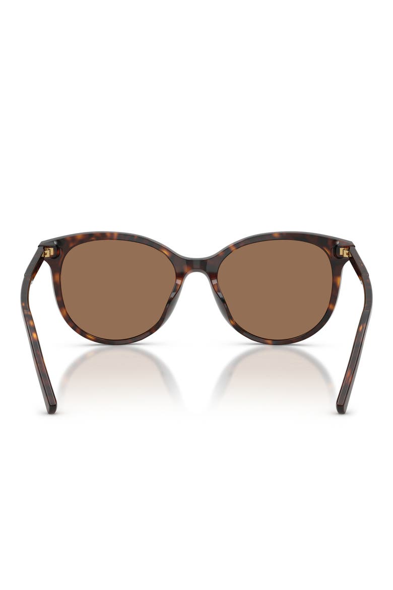 55mm Phantos Sunglasses, Alternate, color, HAVANA / DARK BROWN