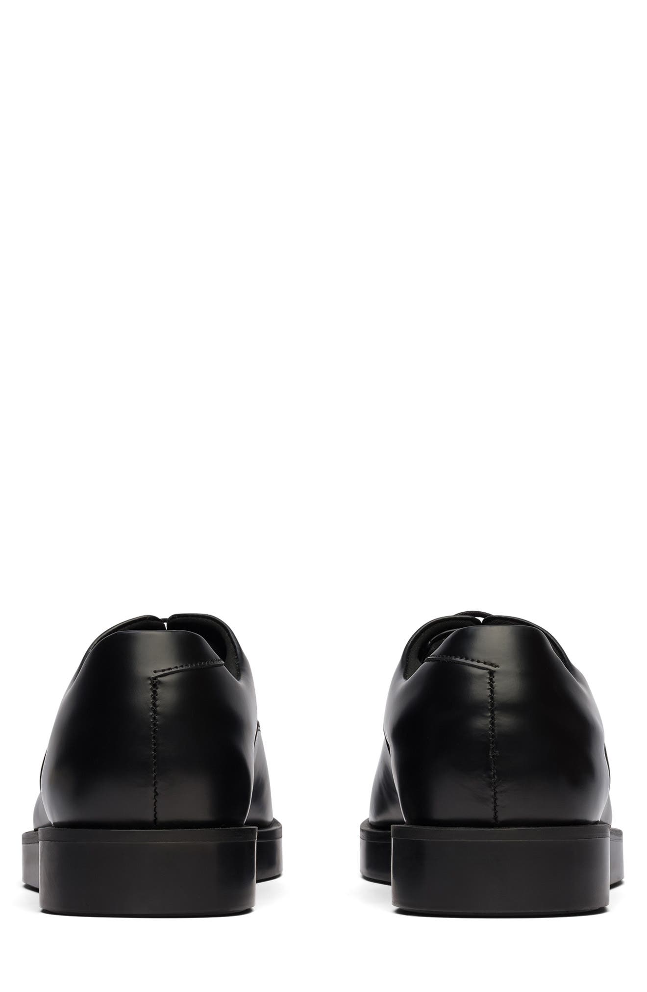 Wolf & Shepherd Closer Oxford, Alternate, color, 