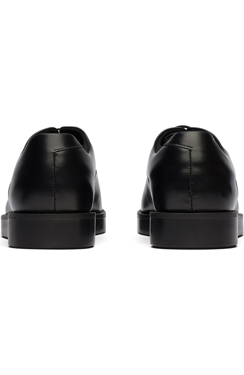 Wolf & Shepherd Closer Oxford, Alternate, color,