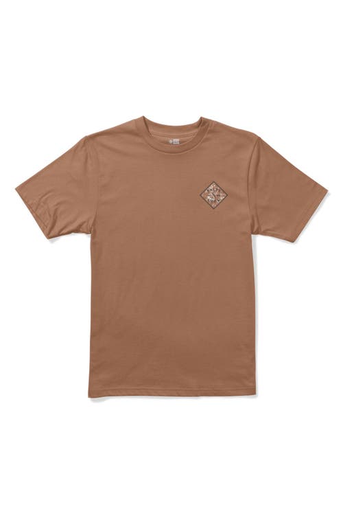 Salty Crew Kids' Tippet Fill Cotton Graphic T-Shirt in Sierra  product
