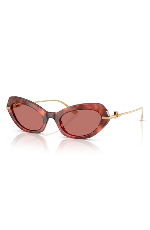 Dolce & Gabbana Dolce&gabbana 52mm Butterfly Sunglasses In Brown Havana