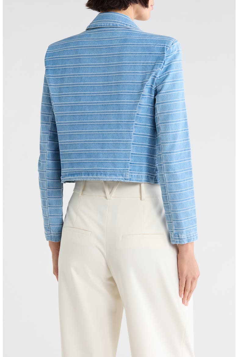 Dolly Cropped Striped Blazer, Alternate, color, TEMPE