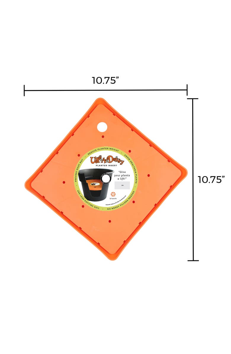 Bloem Ups A Daisy Square Planter Insert 10.75 Inch x 0.75 Inch, Alternate, color, Orange