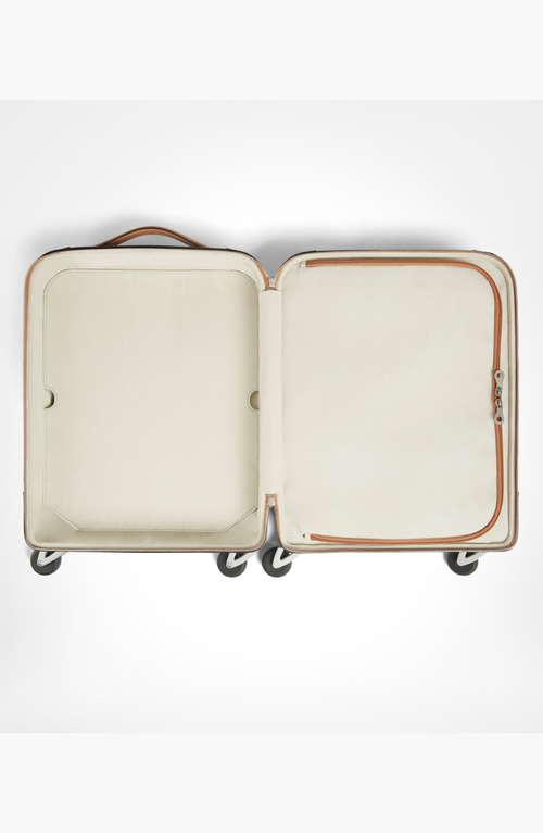 Aviteur Calfskin Lucite Handle Carry-on 19 Luggage In Brown