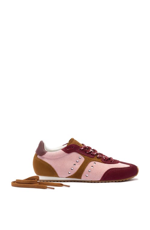 Larroude Stella Sneaker In Tulip