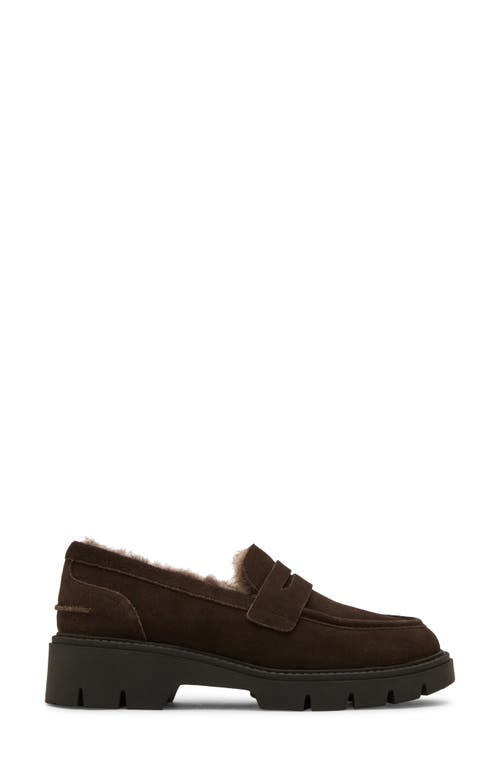 Blondo Kimora Waterproof Platform Penny Loafer In Multi