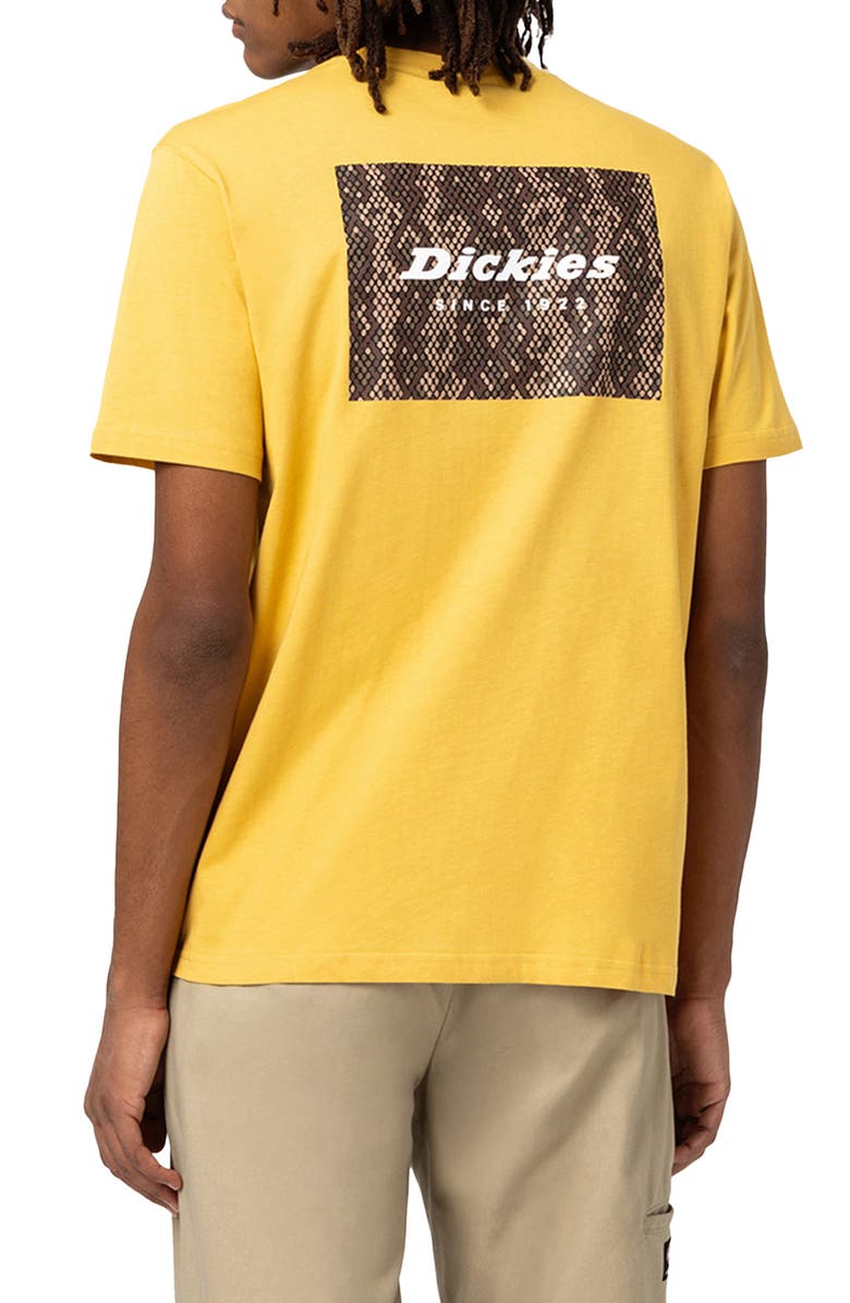 Dickies Camden Graphic Tee, Alternate, color,