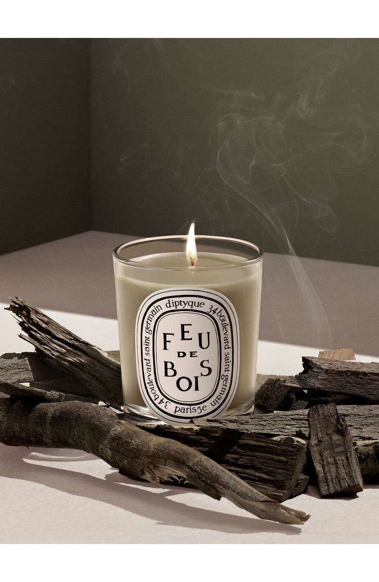 Diptyque Feu de Bois (Fire Wood) Scented Candle, Alternate, color, Clear Vessel