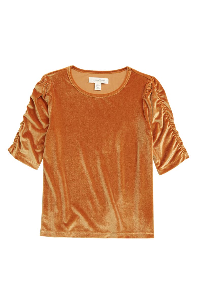 Treasure & Bond Puff Sleeve Velour Top, Main, color,