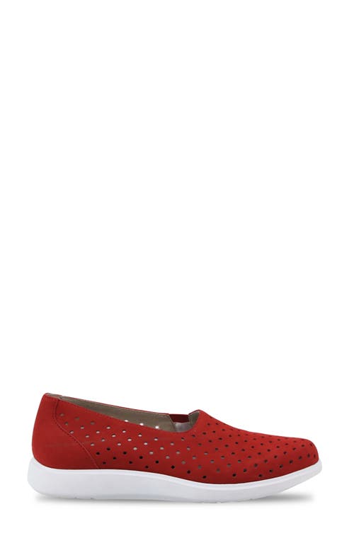 Munro Ridley Perforated Sneaker In Red Nubuck