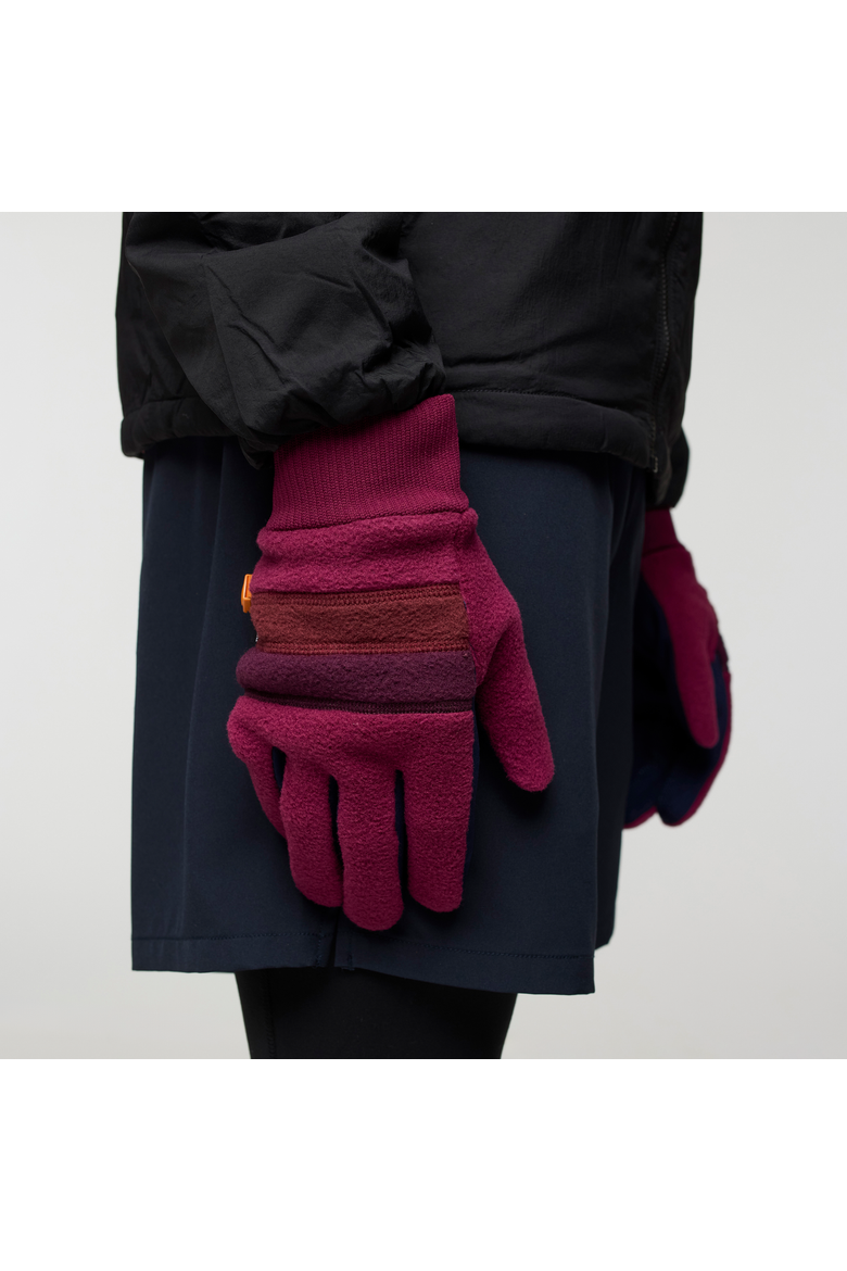 Teca Fleece Gloves, Alternate, color, Abyss