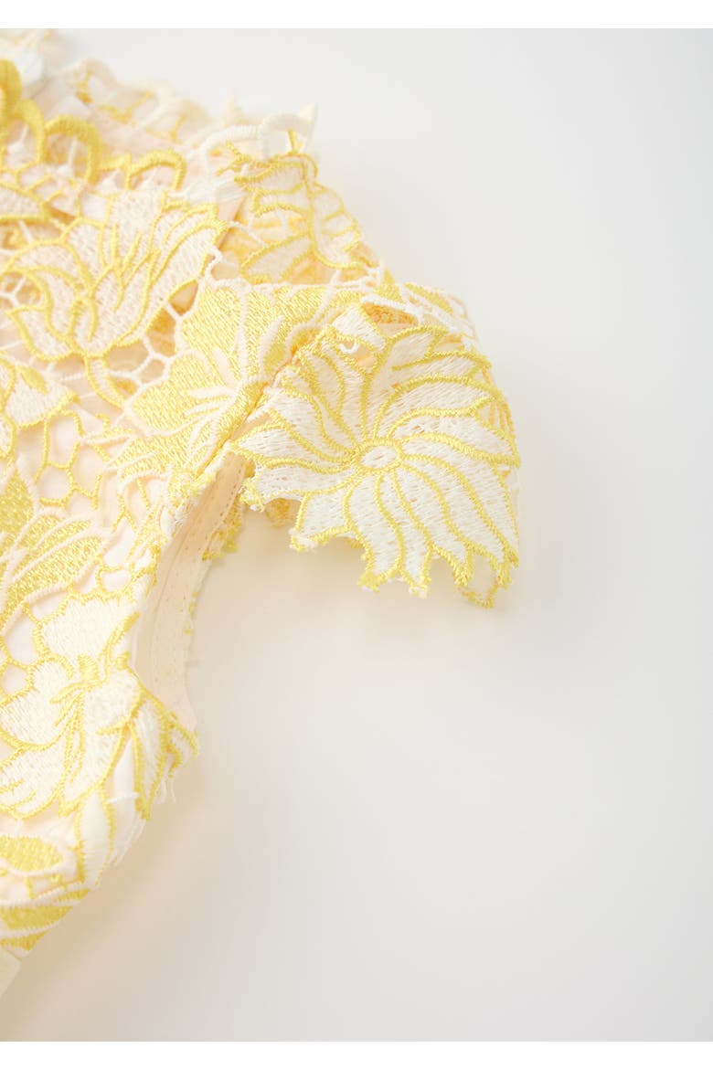 Cassandra Embroidered Mini Dress, Alternate, color, Yellow