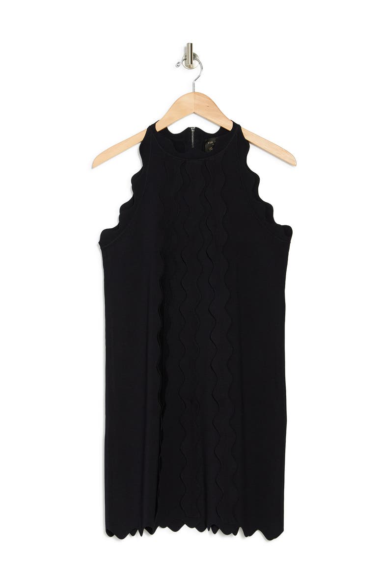 Ted Baker London Rickrack Trim Knit Shift Dress, Alternate, color, 