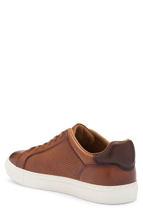 Nordstrom Rack Jasper Dress Sneaker