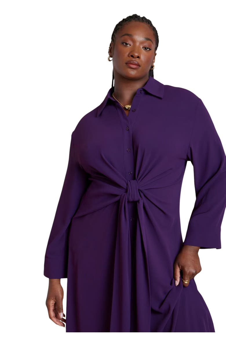 Tie Front Oversized Midi Shirt Dress, Alternate, color, PURPLE PENNANT