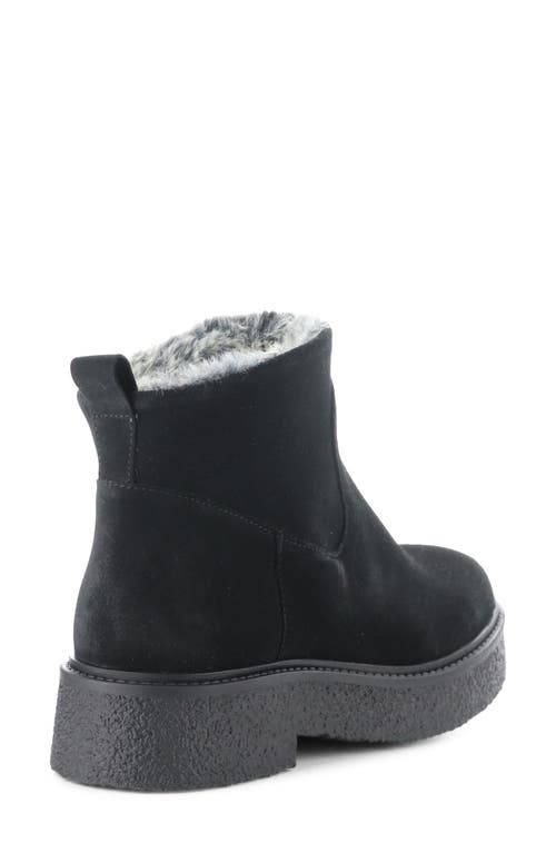 Bos. & Co. Scout Waterproof Winter Bootie In Black