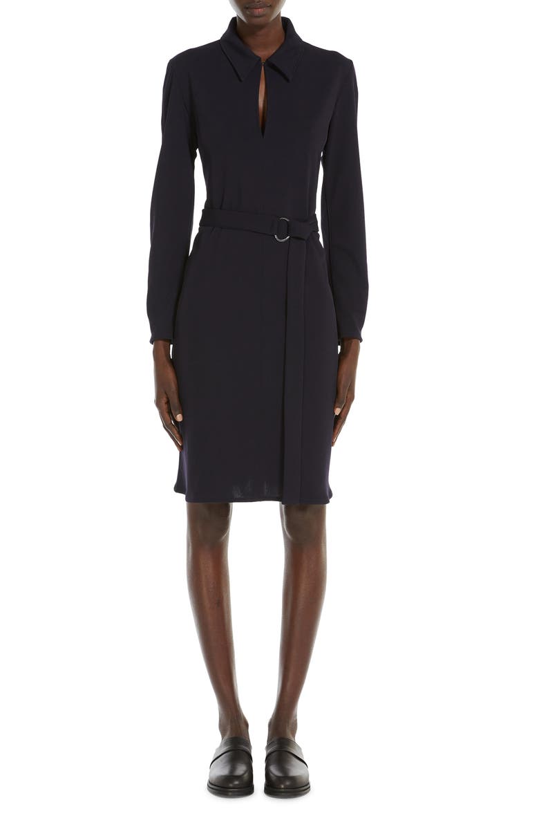 Max Mara Leisure Dorema Long Sleeve Jersey Dress, Main, color, 