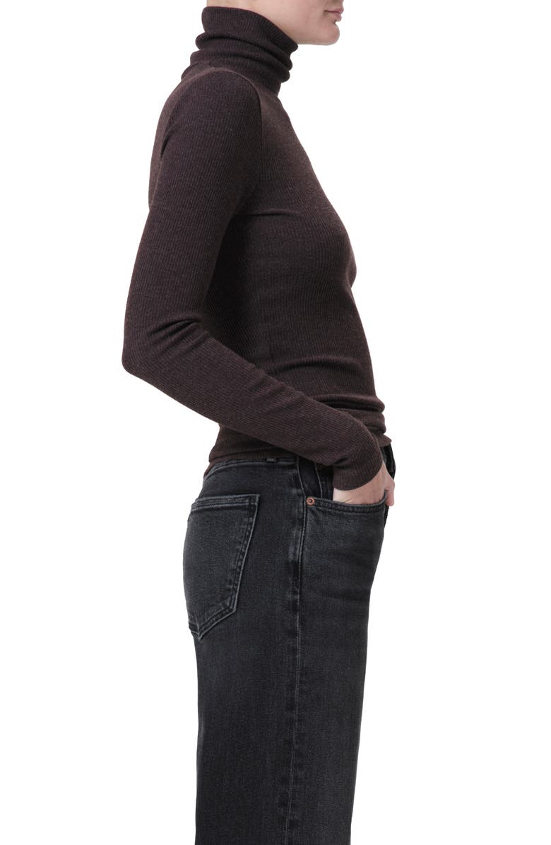 AGOLDE Pascale Rib Turtleneck Sweater, Alternate, color, Fox