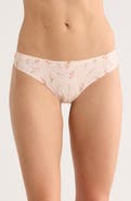 Honeydew Sandra Assorted Thong - Pack of 5