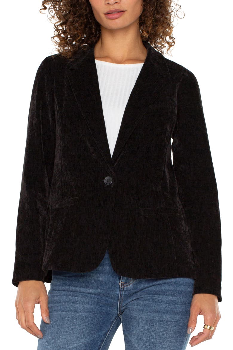 Fitted Velvet Blazer, Main, color, BLACK
