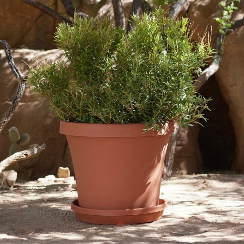 Bloem Terra 20 Inch Resin Saucer In Brown