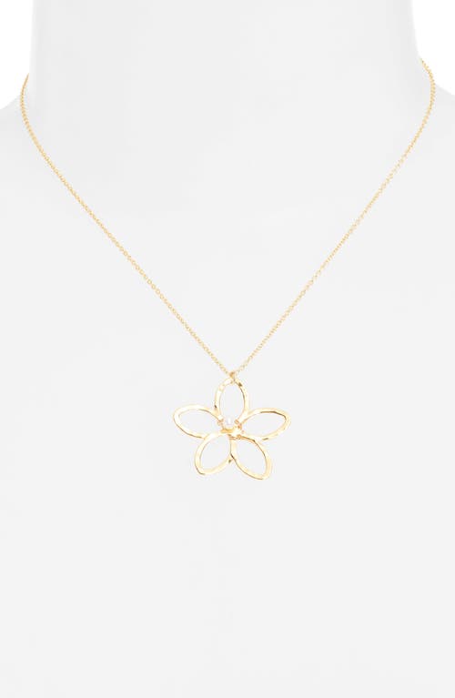 Ki-ele Melia Flower Freshwater Pearl Necklace In Gold