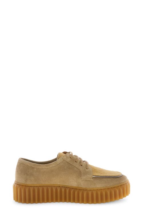Voile Blanche Londoner Genuine Calf Hair Platform Derby In Brown