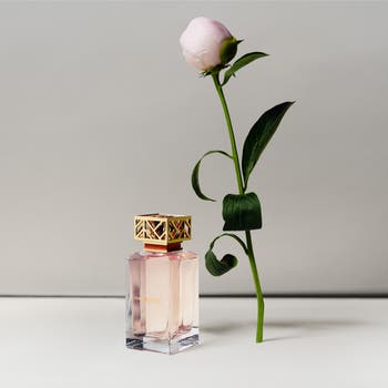 Tory Burch Eau de Parfum Spray | Nordstrom