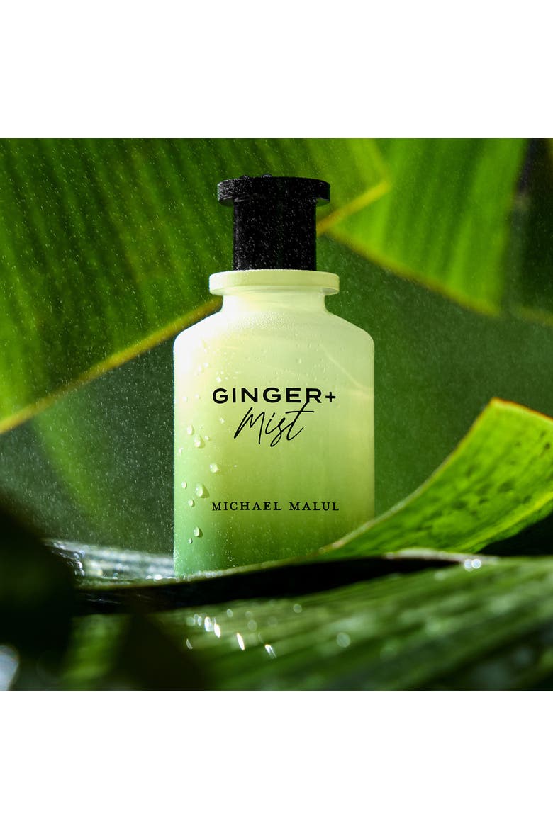 Ginger + Mist Eau de Parfum, Alternate, color, 100ml