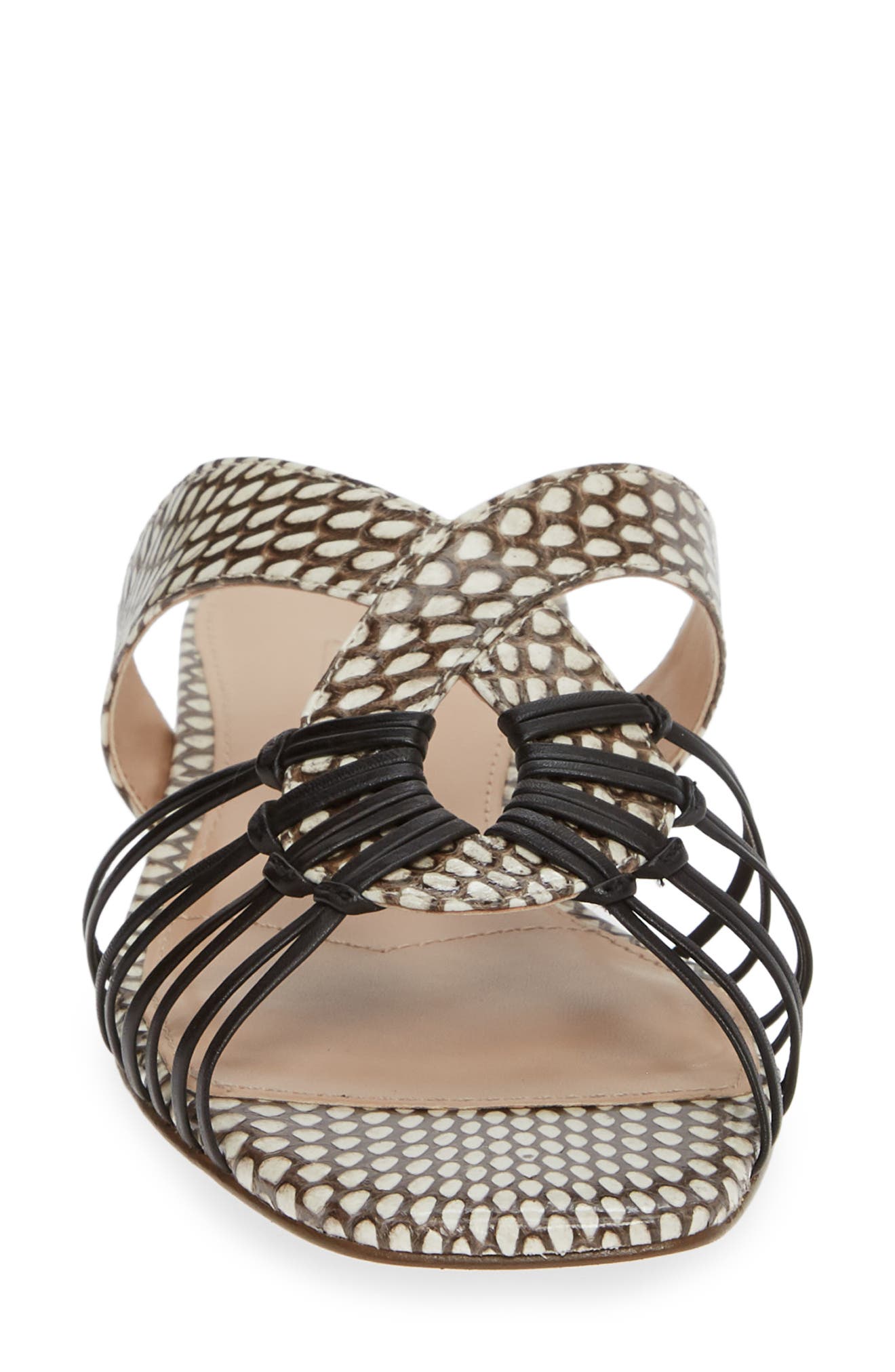 Charles David Silvy Sandal, Alternate, color, 